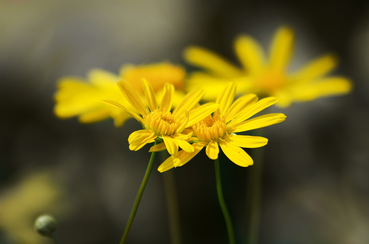 Impression de cadre personnalisé
