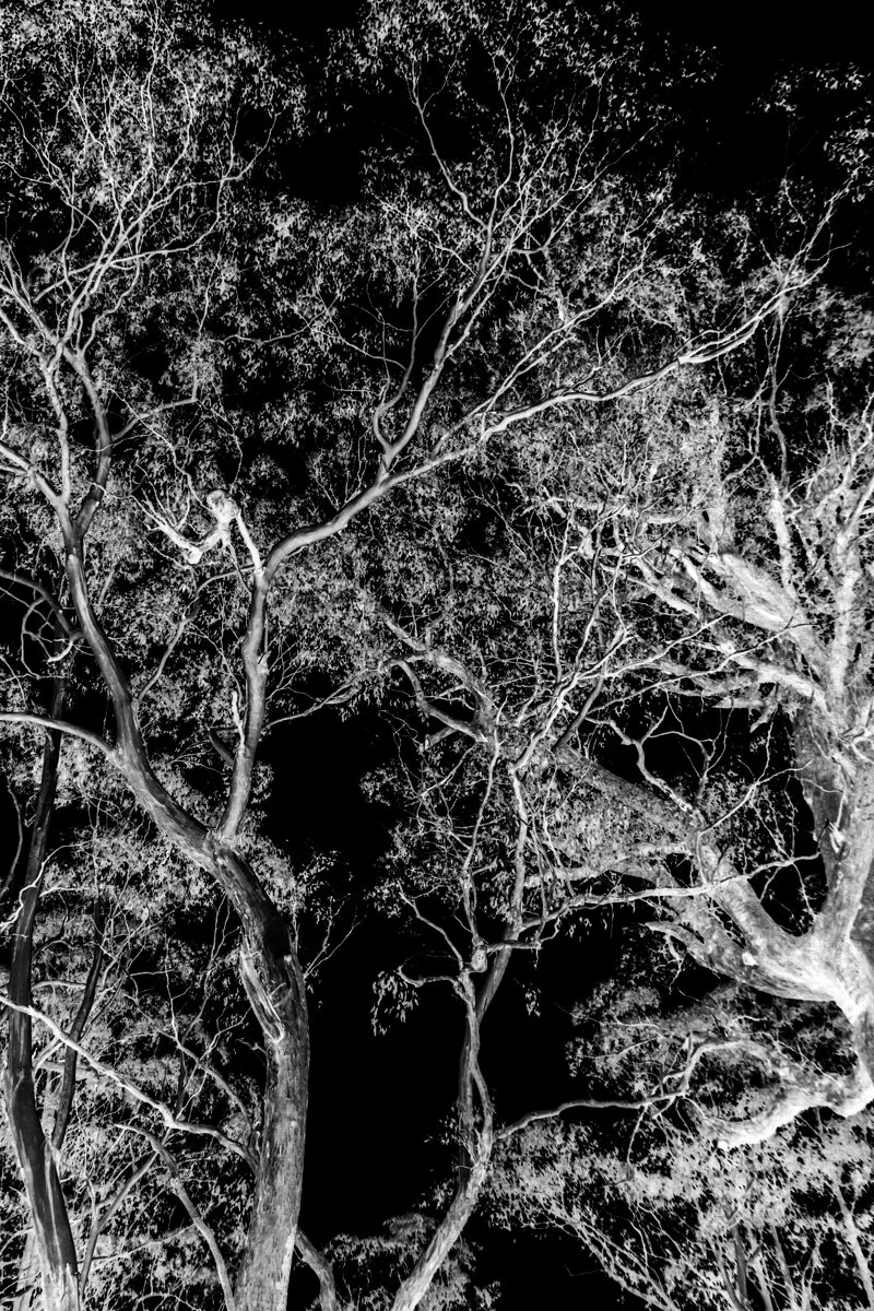 Impression de cadre personnalisé