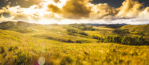 Gorgeous golden sunset field 