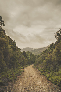 Vintage Australian landscape. Rosebery Tasmania