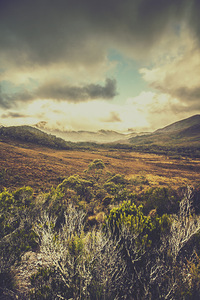 Retro scenic wilderness