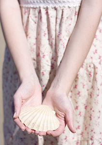 Environment Coastline Conservation