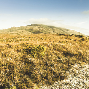 Pristine mountain plains