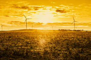 Sunsets and golden turbines