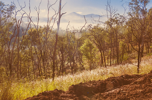 Quiet Mountain Paradise