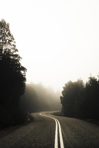 Roads of twists and turns