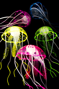 Beauty in black seas