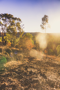 Sunflare Valley Views