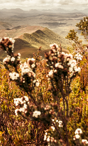 Wild west mountain view