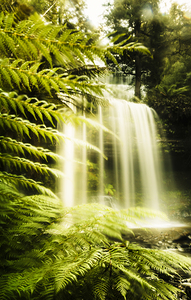 Russell Falls background