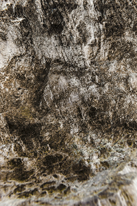 Shaped By Weather And Time