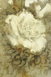 Flowers by the window