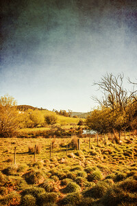 Rustic Pastoral Australia