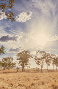 Bleached Country Vertices