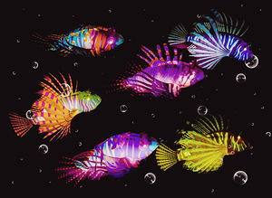 Colors of the tropic