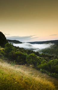 Waratah morning landscape of Mount Bischoff Valley