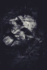 Puppet mask behind the veil