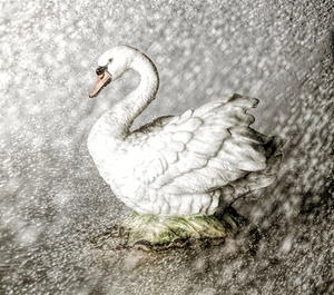 In the mist of rains