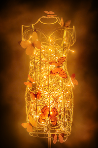 Free Flight To Free Form