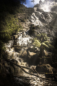 Tranquil mountain canyon