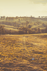 Rolling Hill Antiquity