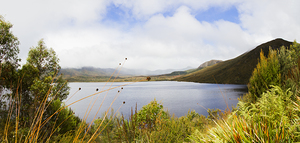 Lake Plimsoll in Western Tasmania Australia
