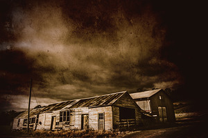 Beauty in rustic decay