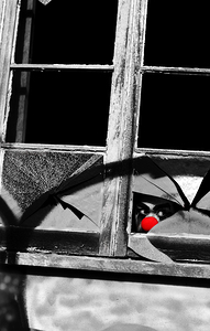 Undercover Detective