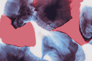 Peering Perspectives