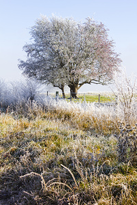 Enchanting snow covered landscape