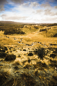 Central highlands of Tasmania