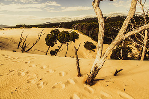 Strahan sand dune landscape