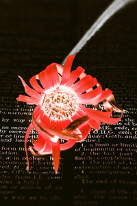 Inversion to the mean