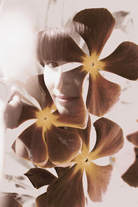 Stories of fleeting romance