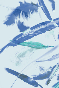 Blue toned artistic feather abstract