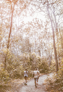 Touring Mt Walsh National Park