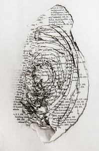 Hole in the official story