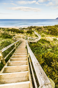Way to Neck Beach