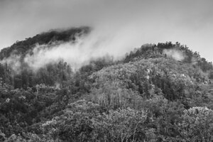 Mount Perry Queensland