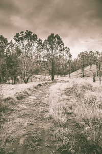 Through fields aplenty