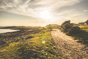 Routing western shores