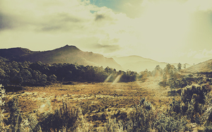 Sun bleached Australia