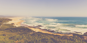 Trial Harbour to Ocean Beach