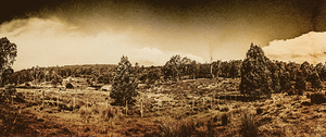 Vintage Cradle Mountain panorama