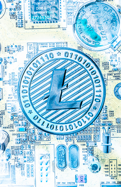 Litecoin design Print
