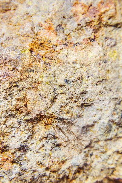 Earthy Minerals Print