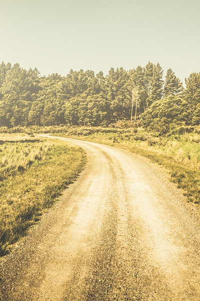 Empty curved gravel road in Tasmania Australia Print