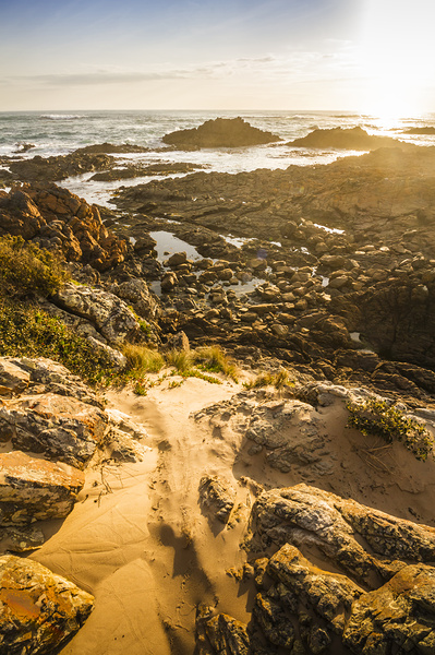 Shoreline Sunshine Print