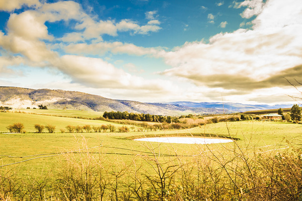Fields of Plenty Print