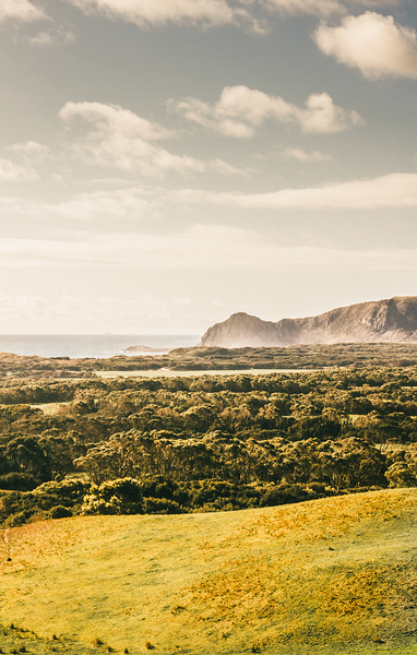 Farm fields to seaside shores Print